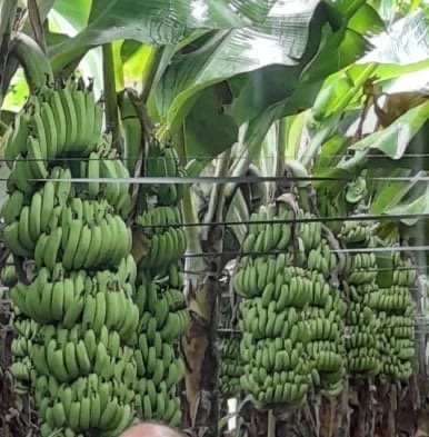 18c52de4-2f79-4ef7-a780-adf73bf166c4