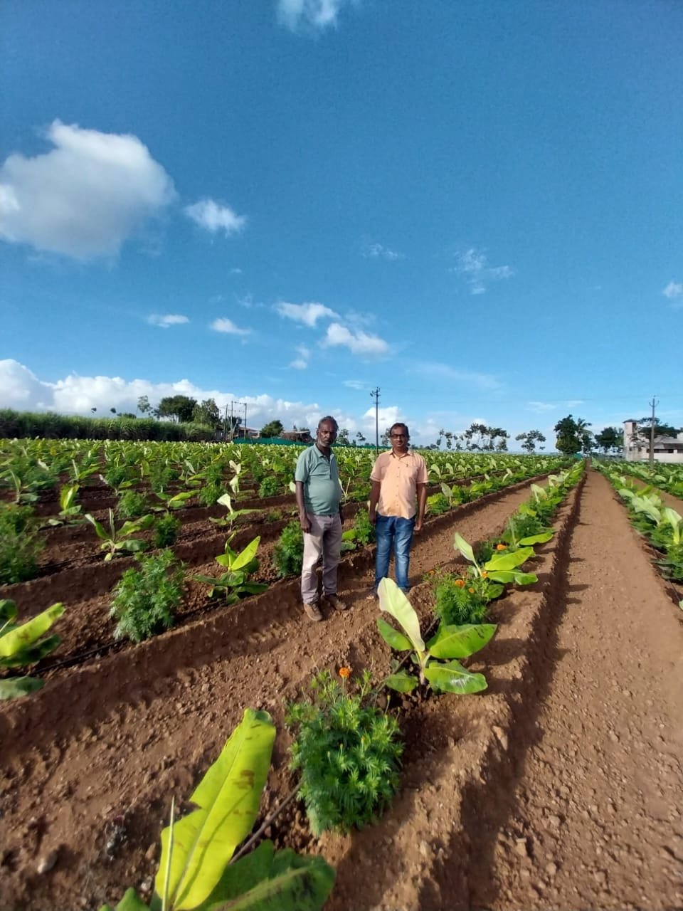 558b3a2c-96a2-43aa-beda-0082d6c242b0