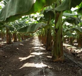 91098869-073f-41e7-8f36-49c8e64b1931