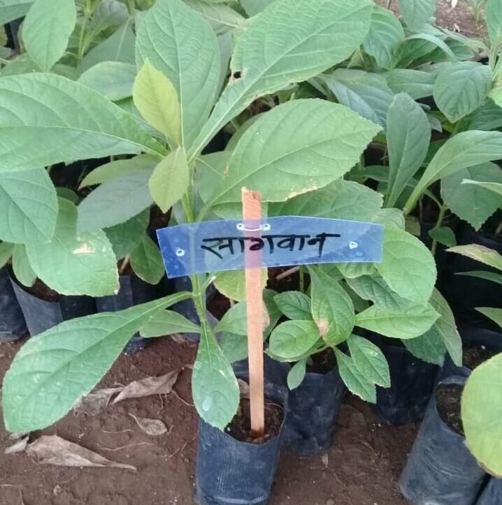 efc35cec-ffb8-4d27-bd65-704964fb5dc1