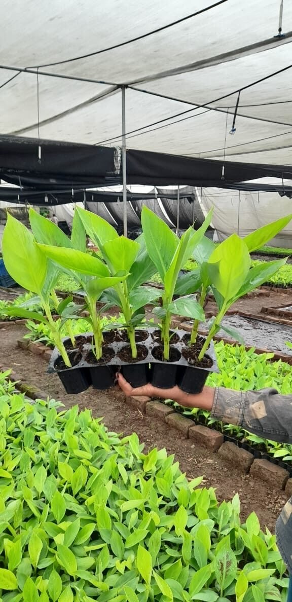 fa25761a-7419-4bea-acc6-a3000fc72193